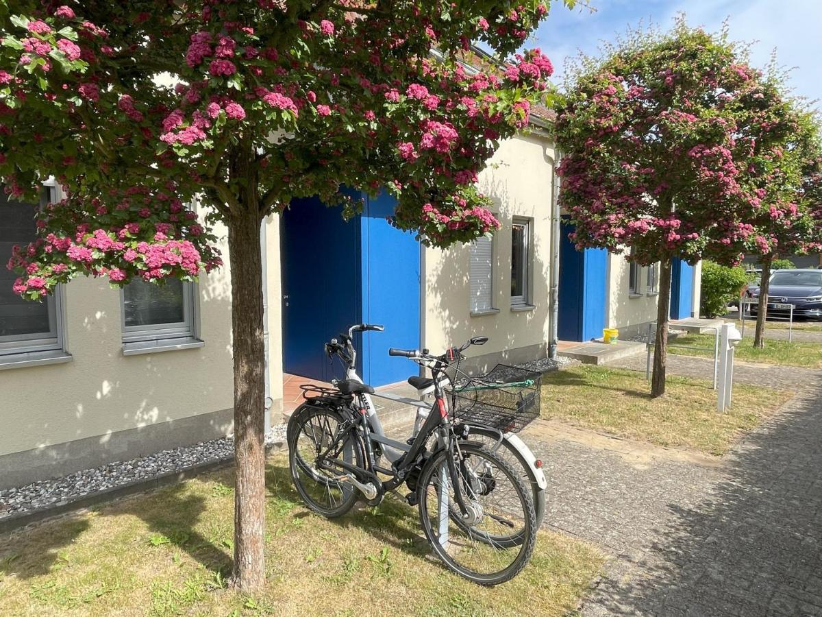 Apartment Biber Mit Terrasse Dewichow 외부 사진
