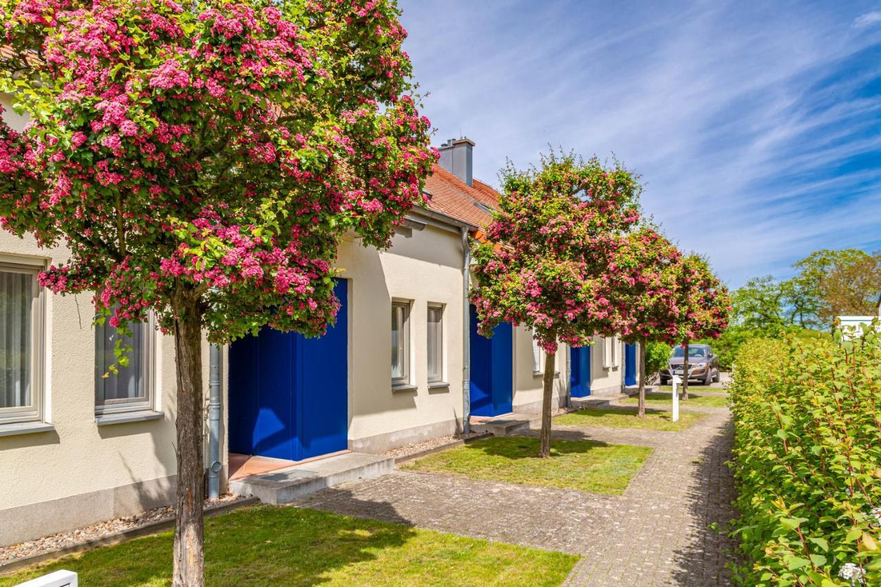Apartment Biber Mit Terrasse Dewichow 외부 사진